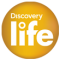 Discovery Life